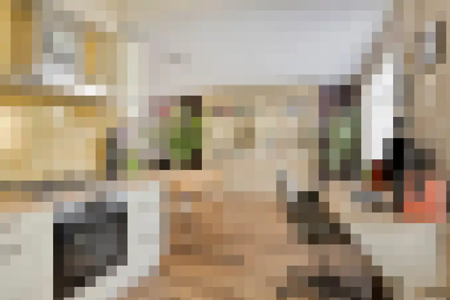 Norbertusdreef 16 Willemstad thumbnail 18