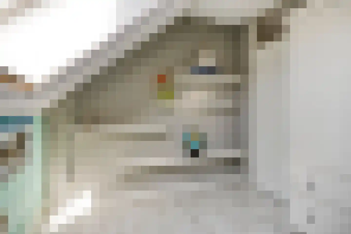 Norbertusdreef 16 Willemstad thumbnail 26