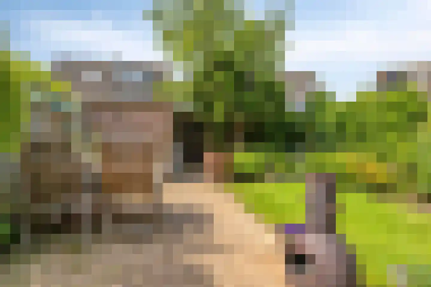 Norbertusdreef 16 Willemstad thumbnail 34