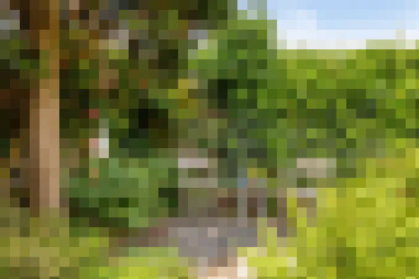 Norbertusdreef 16 Willemstad thumbnail 37