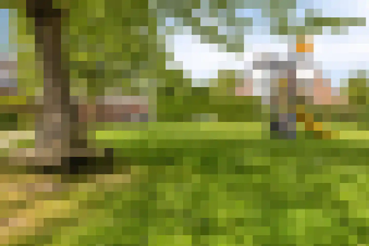 Norbertusdreef 16 Willemstad thumbnail 40