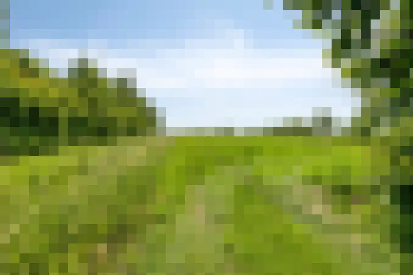 Norbertusdreef 16 Willemstad thumbnail 41