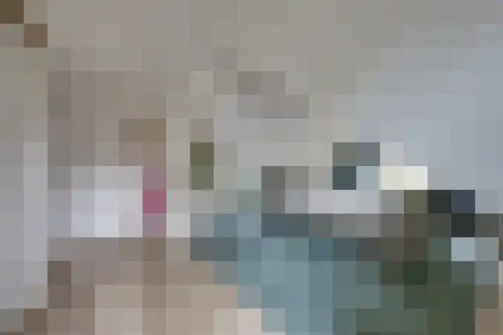 Norbertusdreef 24 Willemstad thumbnail 30
