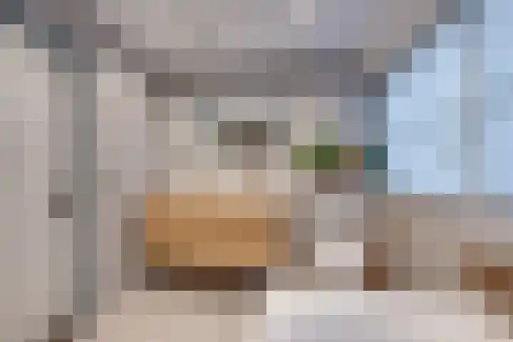 Norbertusdreef 24 Willemstad thumbnail 35