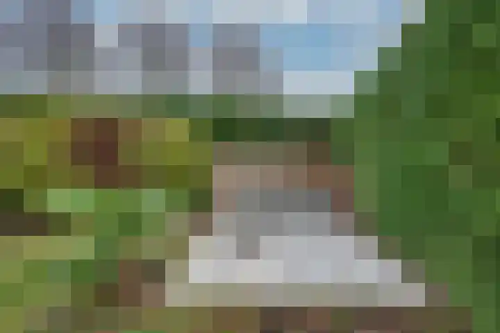 Norbertusdreef 24 Willemstad thumbnail 39