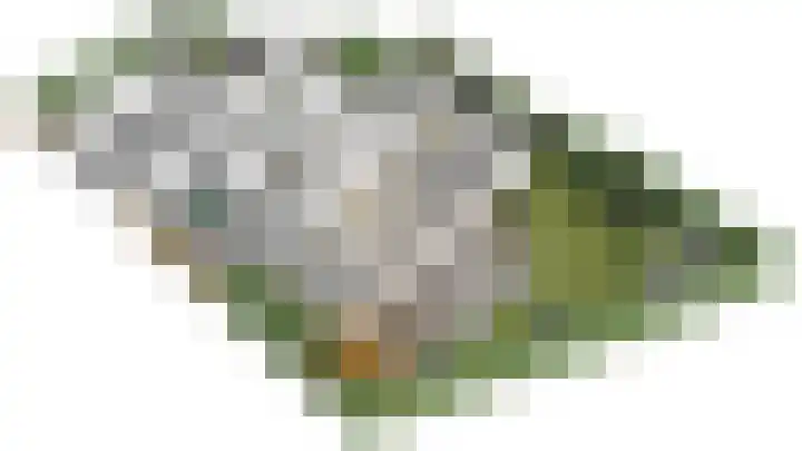 Norbertusdreef 24 Willemstad thumbnail 52