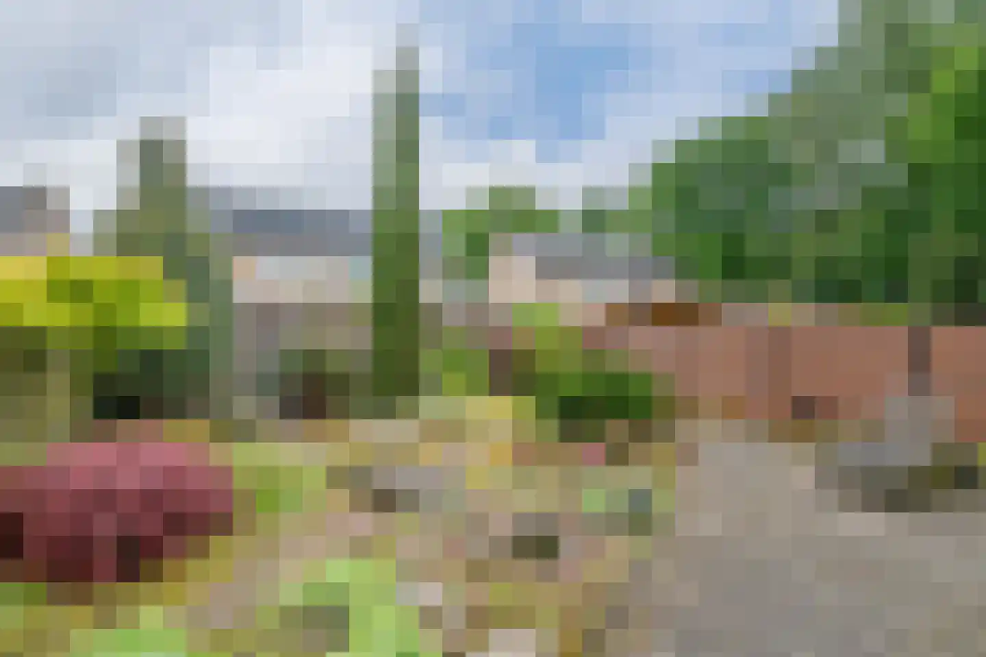 Norbertusdreef 57 Valkenswaard thumbnail 17