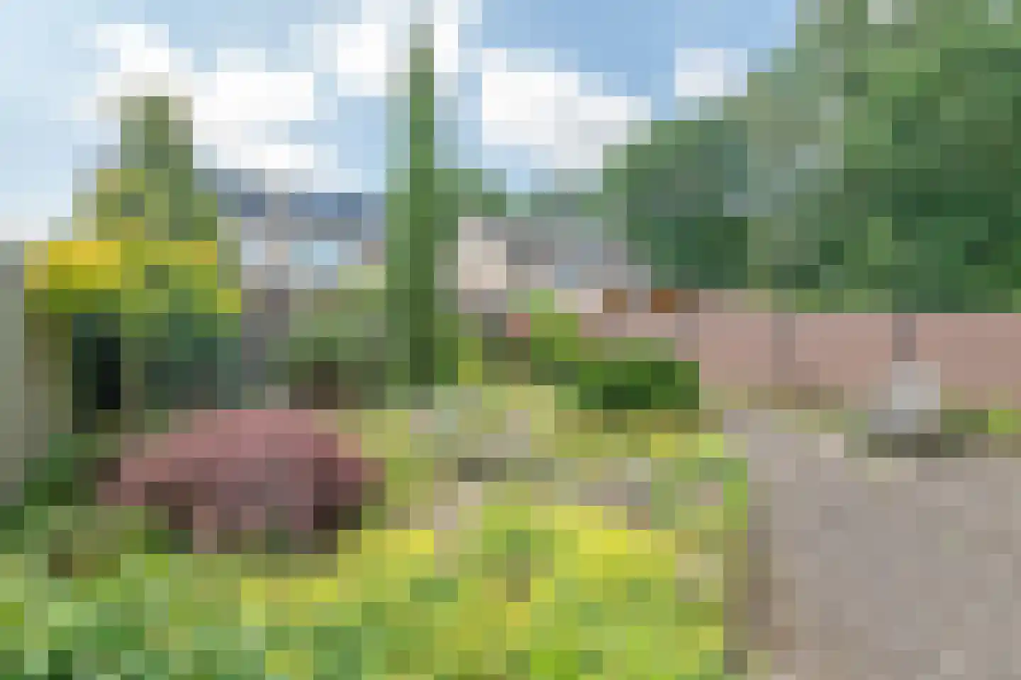 Norbertusdreef 57 Valkenswaard thumbnail 22