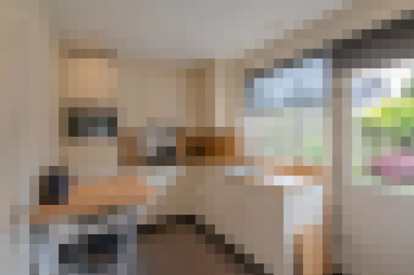Norbertusdreef 57 Valkenswaard thumbnail 7