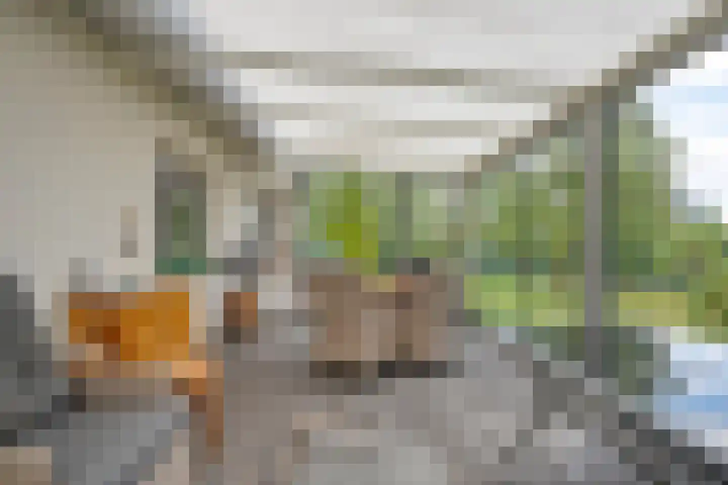 Nordhornerstraat 27 Coevorden thumbnail 36
