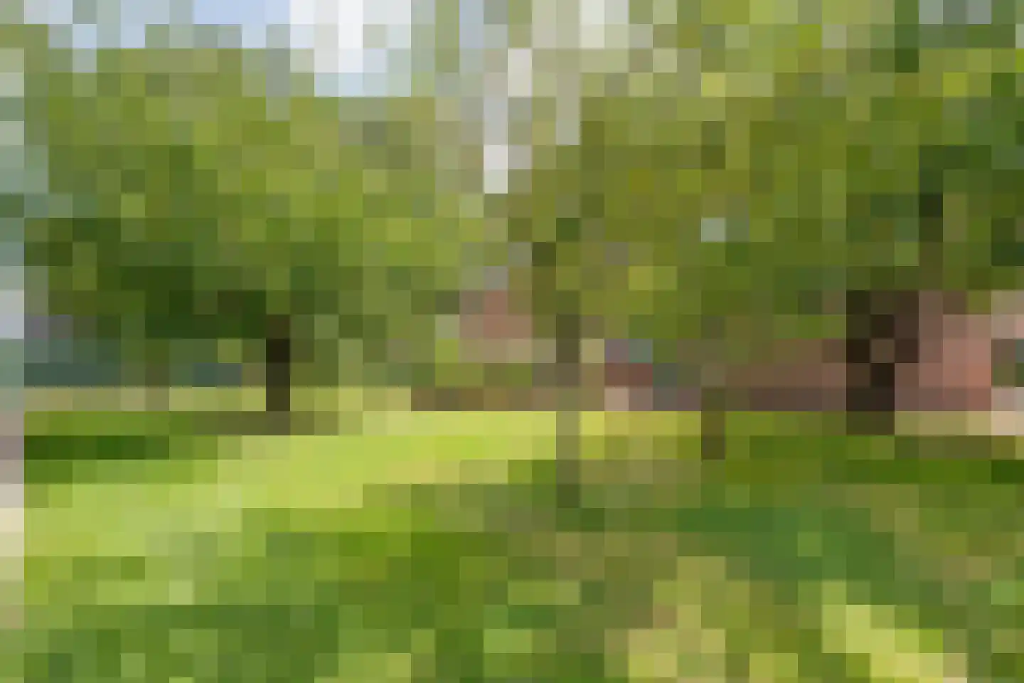 Nordhornerstraat 27 Coevorden thumbnail 48