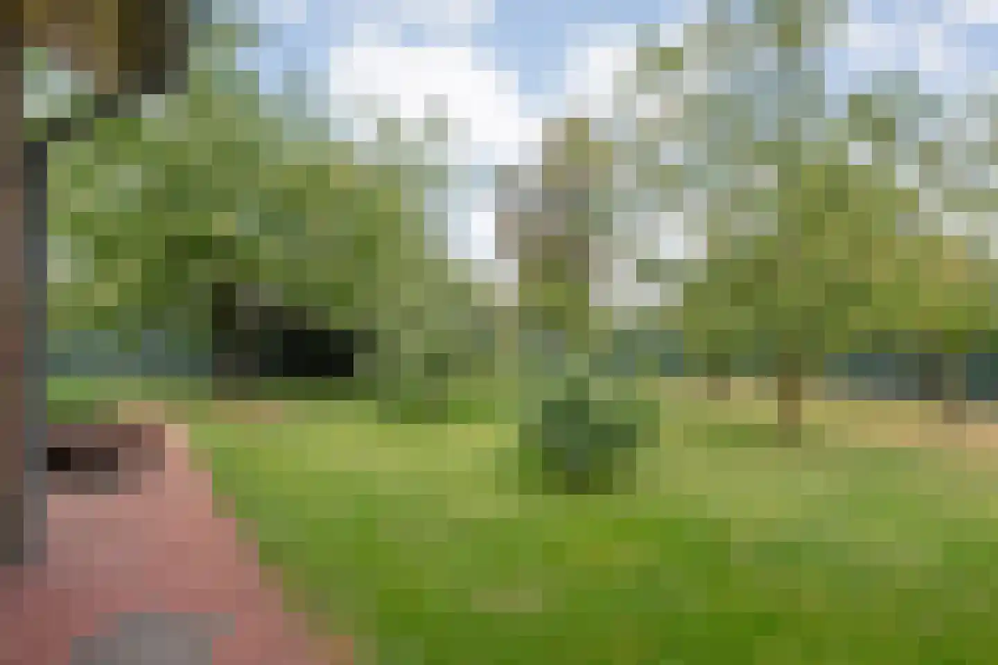 Nordhornerstraat 27 Coevorden thumbnail 49