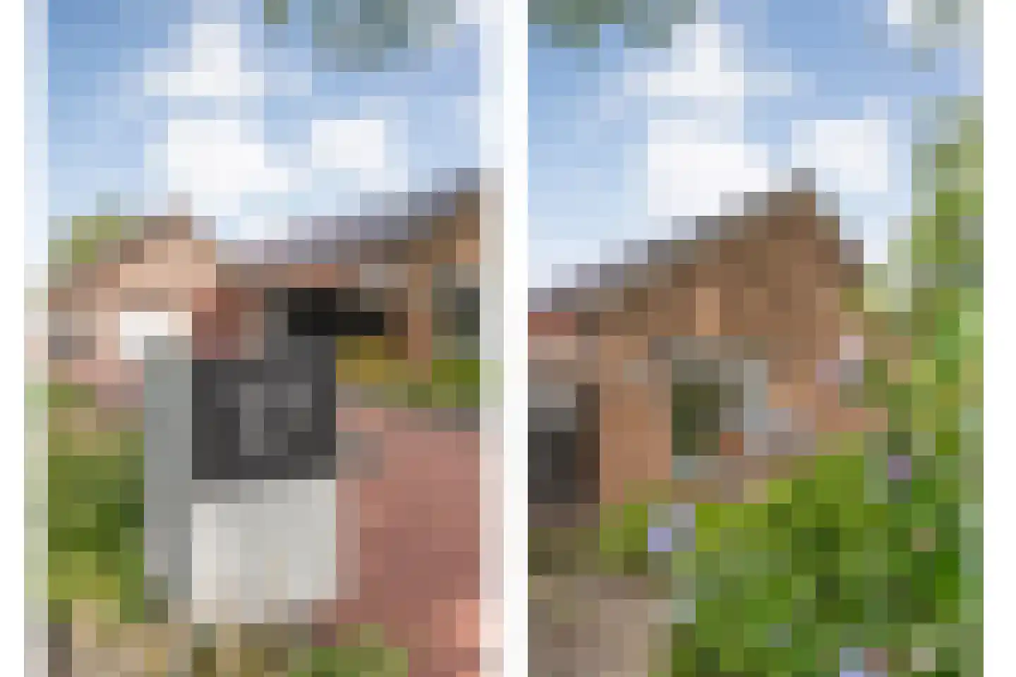 Nordhornerstraat 27 Coevorden thumbnail 5