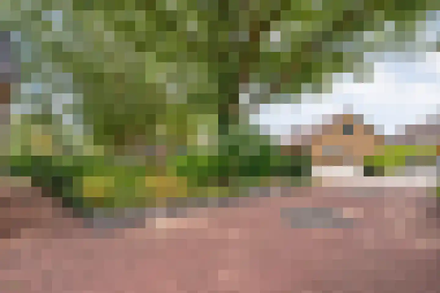 Nordhornerstraat 27 Coevorden thumbnail 6