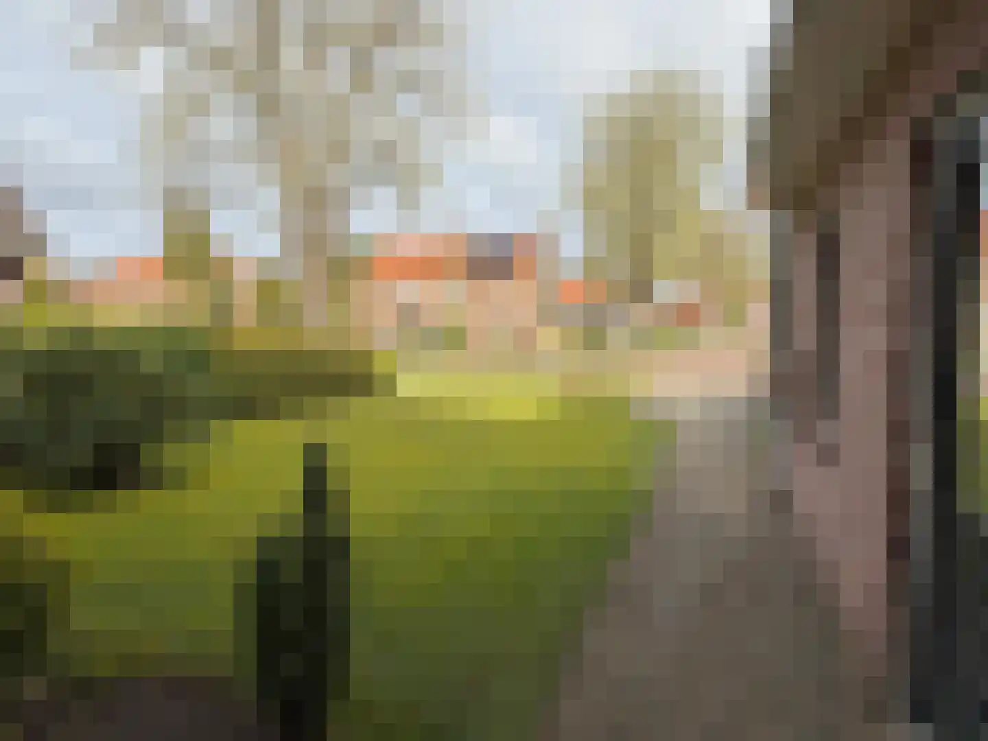 Nordhornerstraat 8 Coevorden thumbnail 14