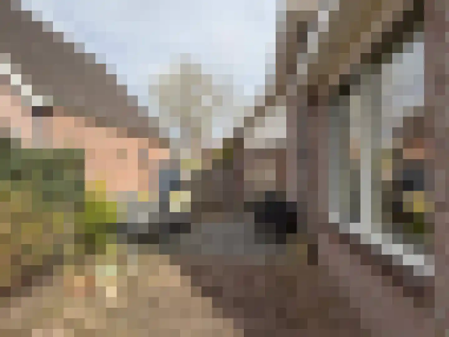 Nordhornerstraat 8 Coevorden thumbnail 16