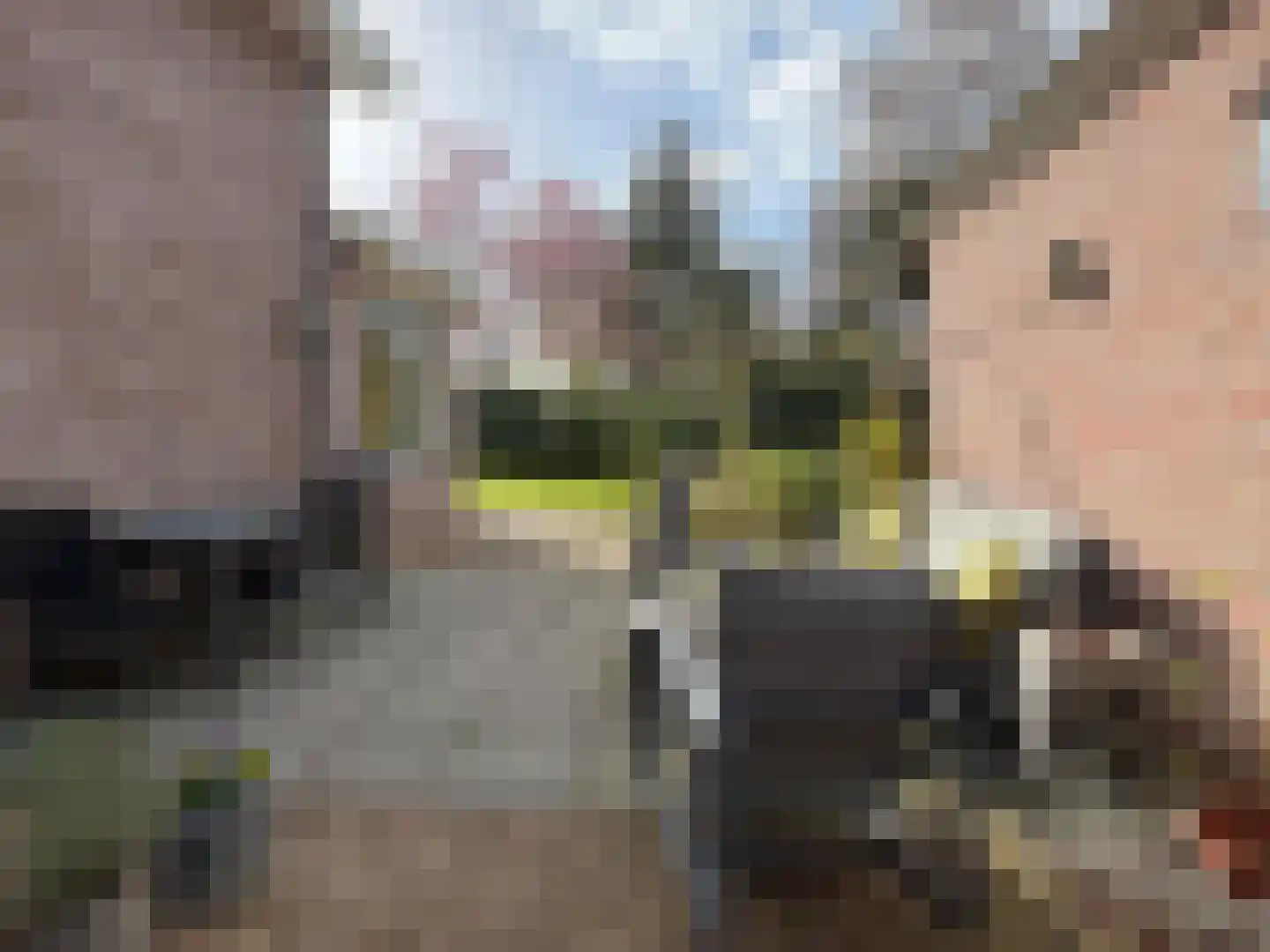 Nordhornerstraat 8 Coevorden thumbnail 17