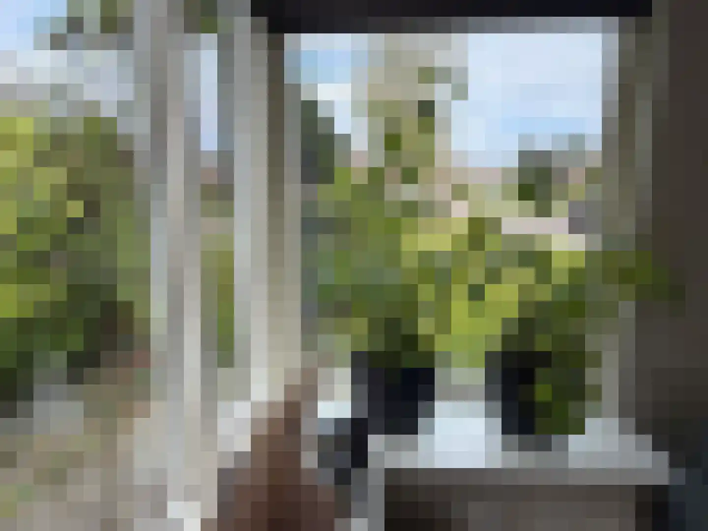 Nordhornerstraat 8 Coevorden thumbnail 21