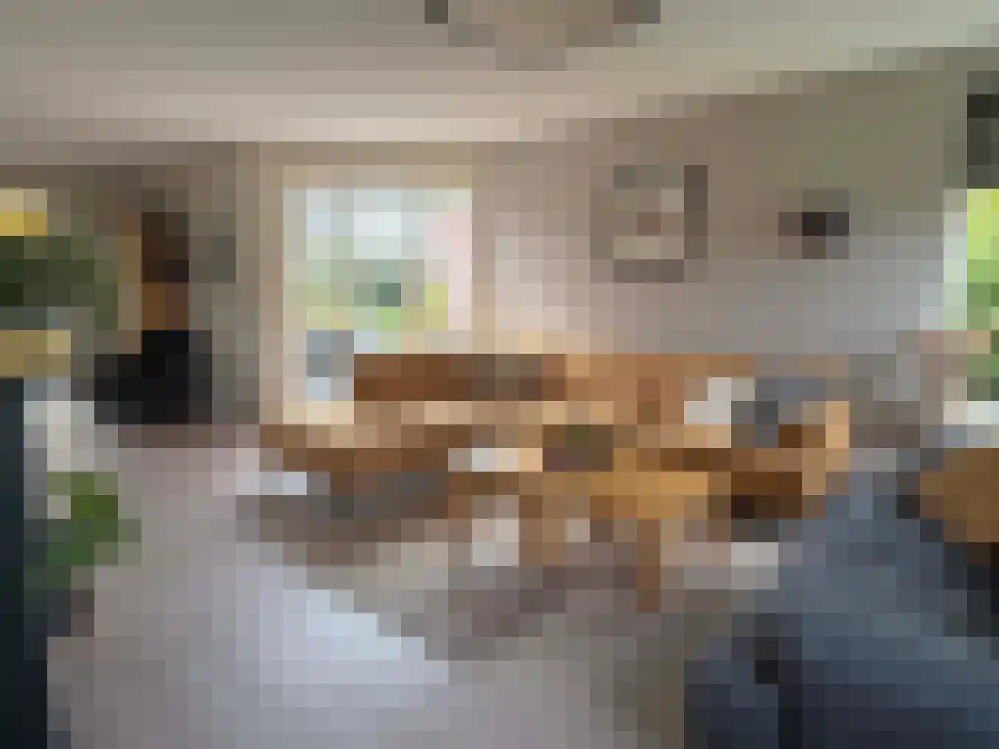 Nordhornerstraat 8 Coevorden thumbnail 22