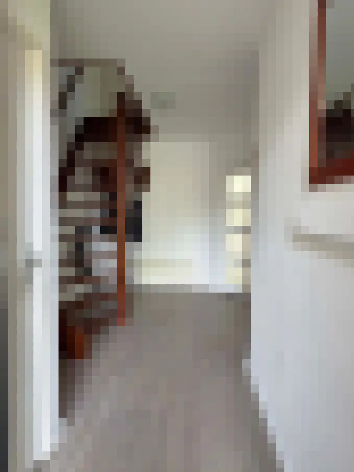 Nordhornerstraat 8 Coevorden thumbnail 34