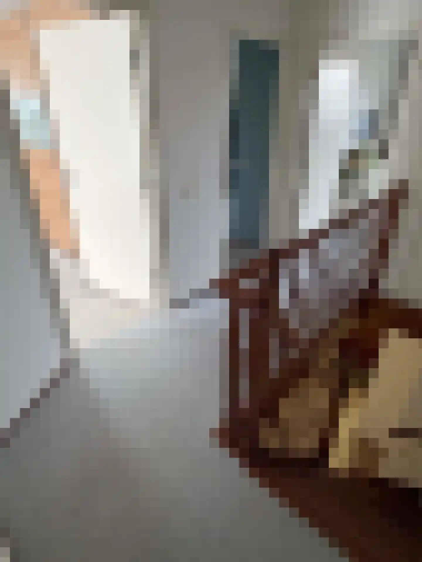 Nordhornerstraat 8 Coevorden thumbnail 35