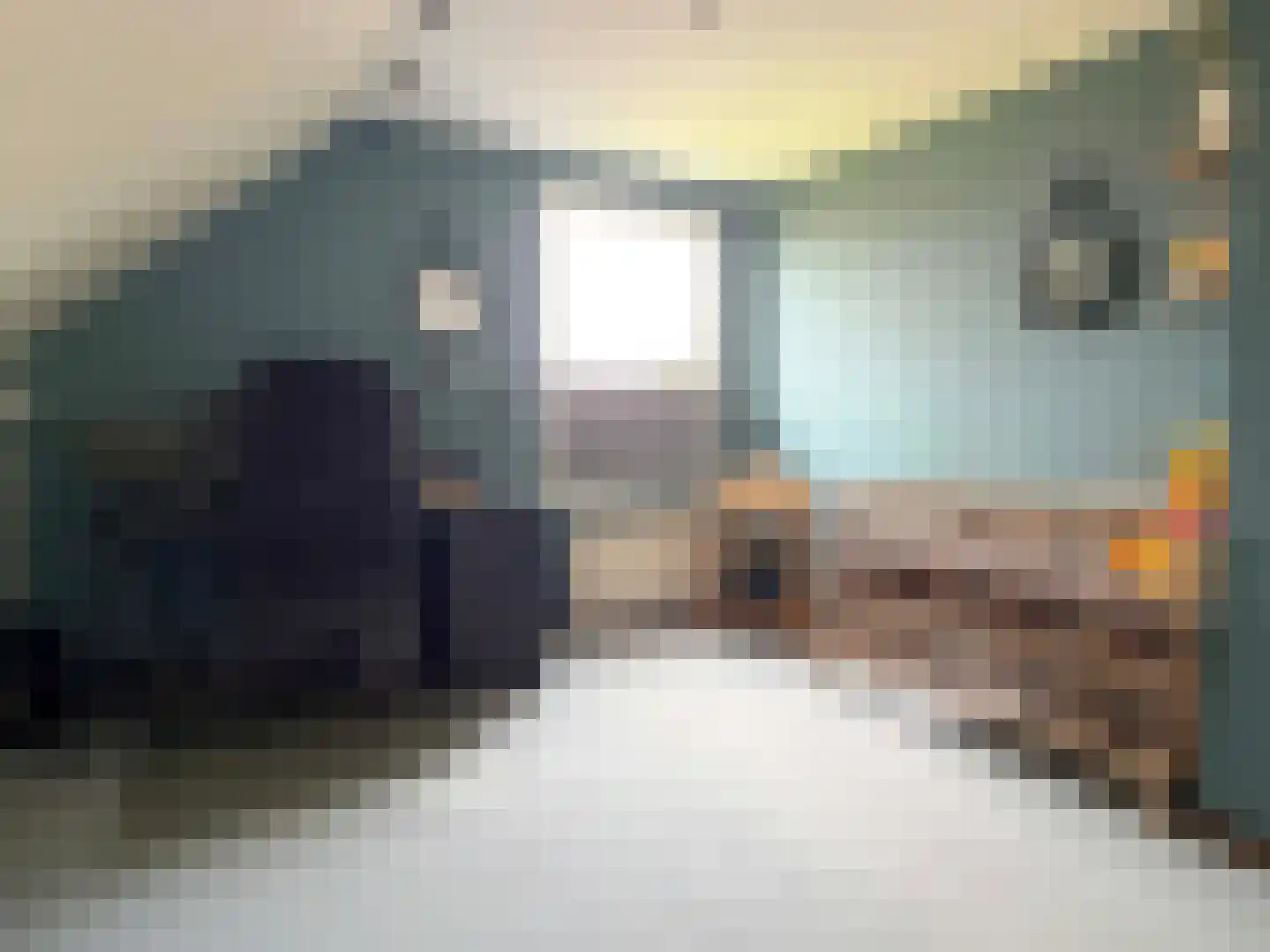 Nordhornerstraat 8 Coevorden thumbnail 37