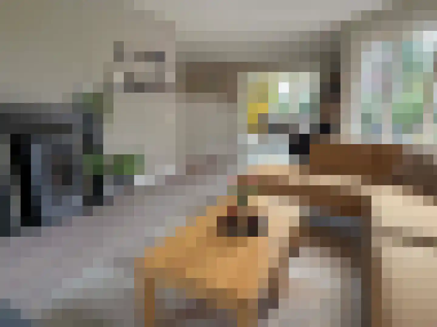 Nordhornerstraat 8 Coevorden thumbnail 4