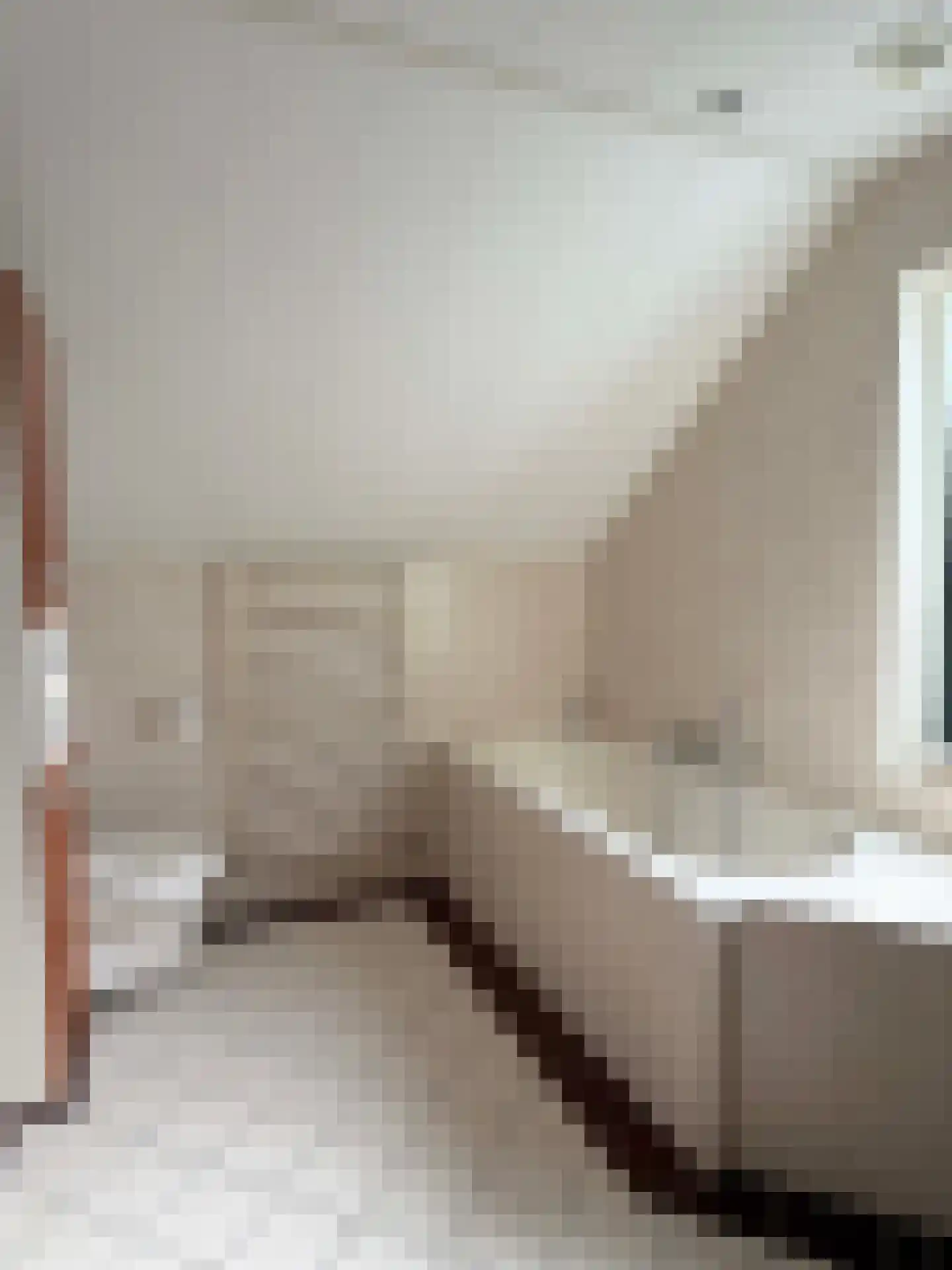 Nordhornerstraat 8 Coevorden thumbnail 41
