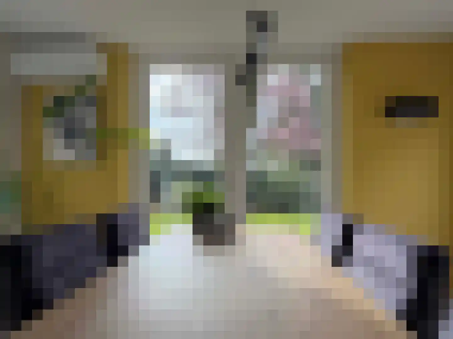 Nordhornerstraat 8 Coevorden thumbnail 5