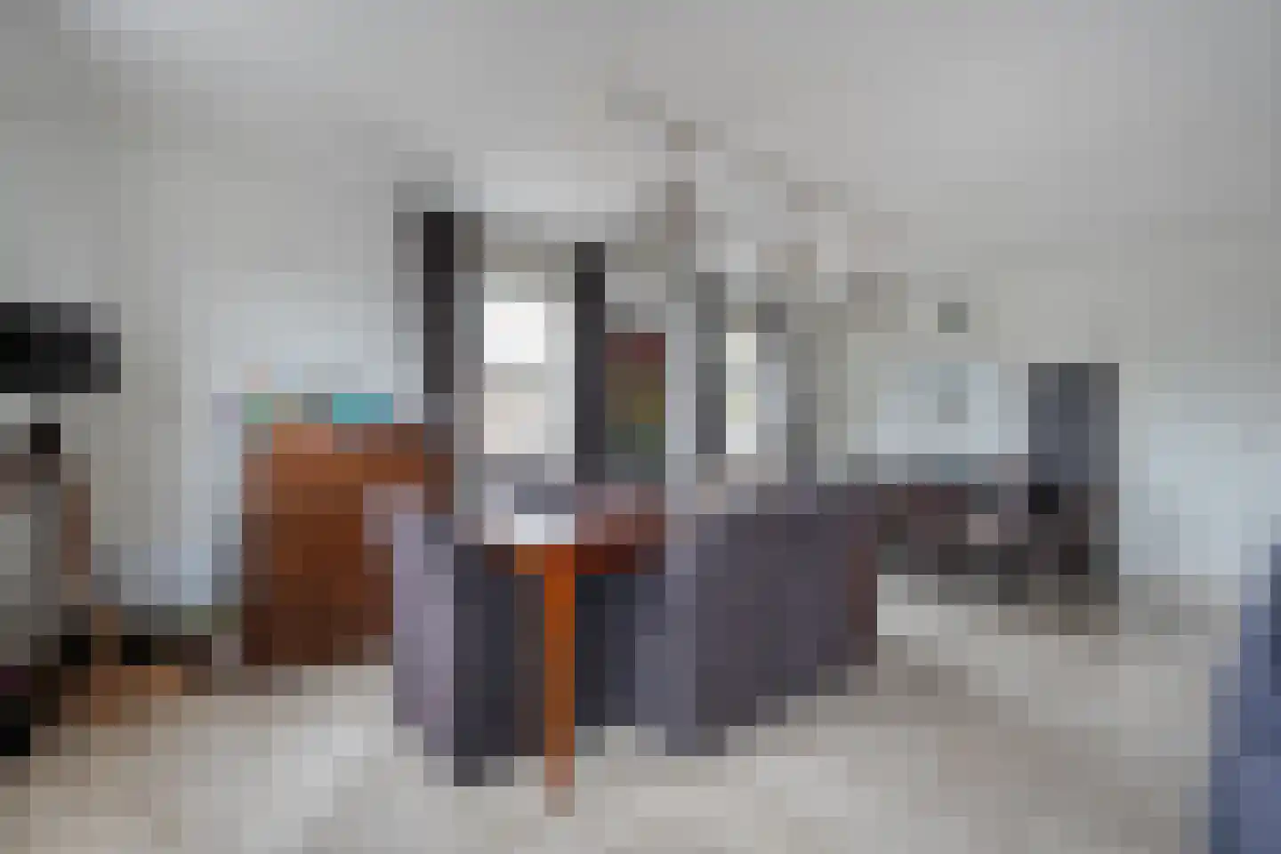 Nordhornsestraat 1 A Denekamp thumbnail 21