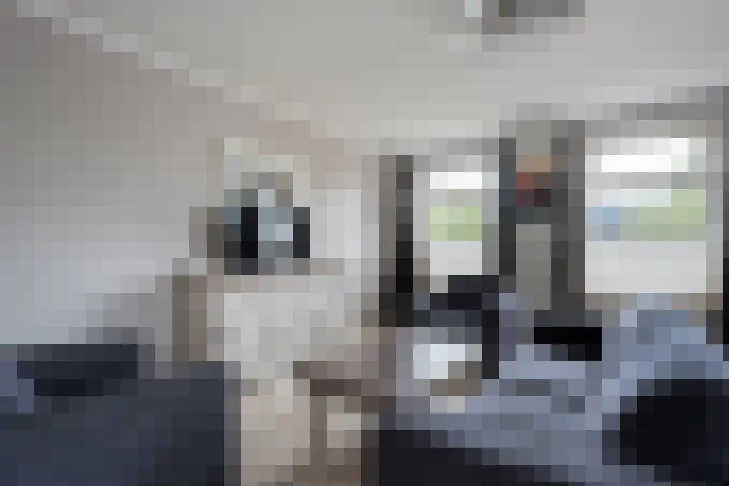 Nordhornsestraat 1 A Denekamp thumbnail 23