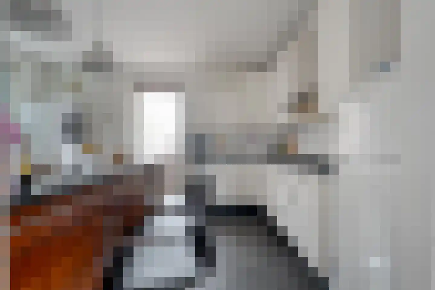 Nordhornsestraat 1 A Denekamp thumbnail 24