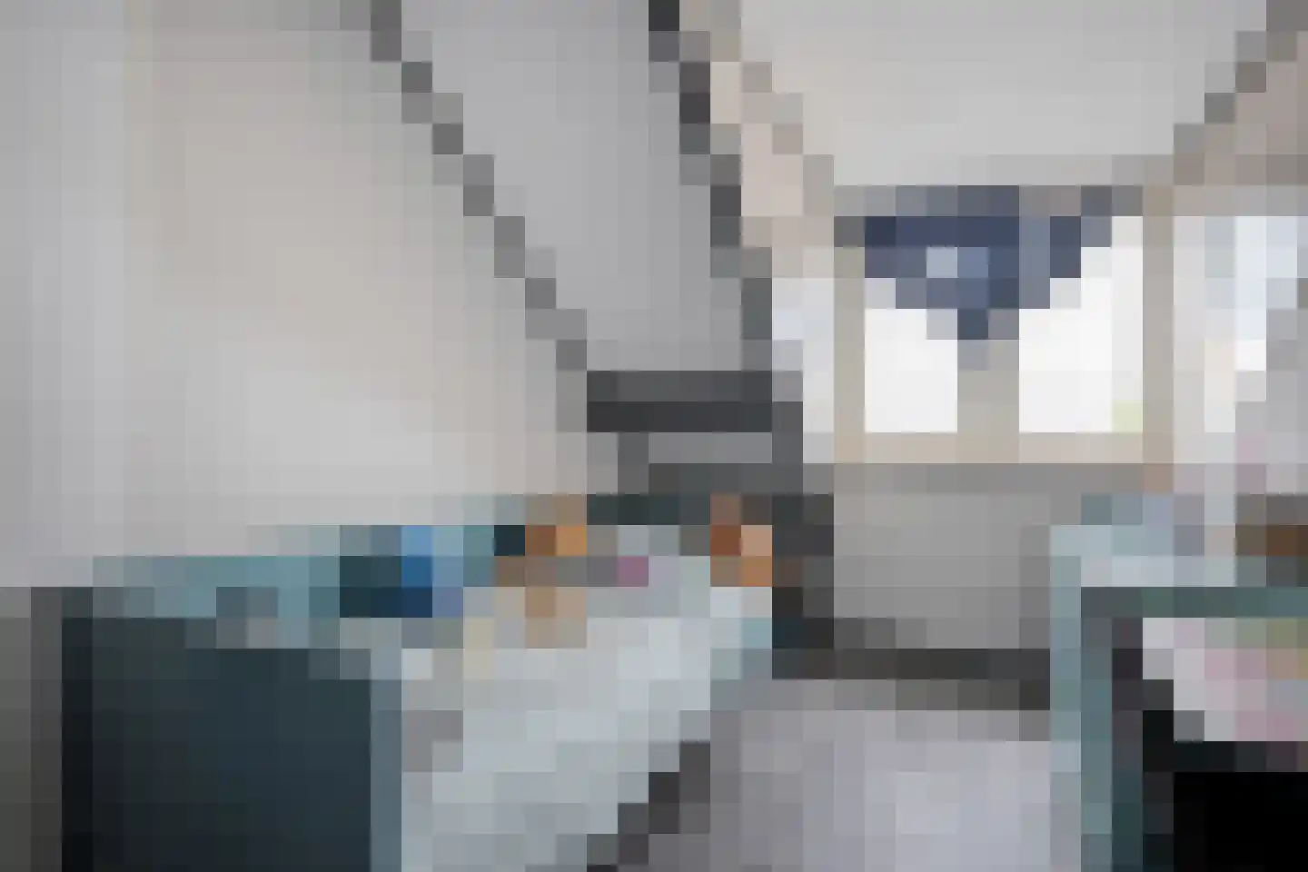 Nordhornsestraat 1 A Denekamp thumbnail 34