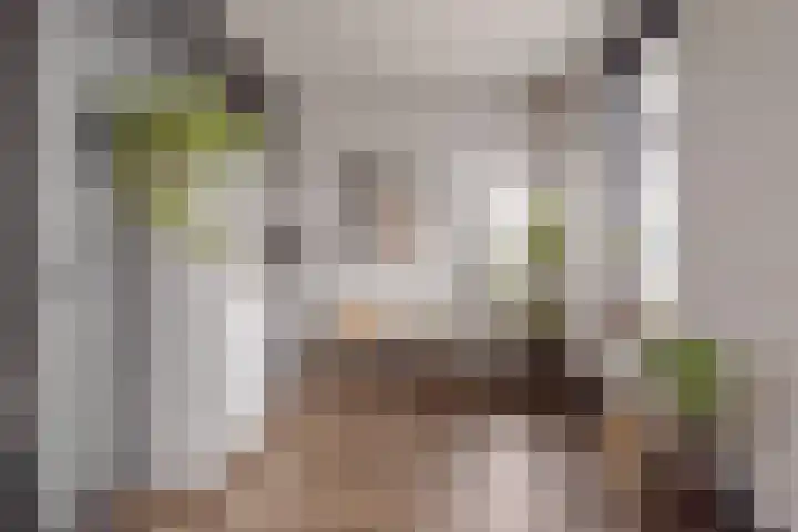 Nordhornsestraat 13 Denekamp thumbnail 9