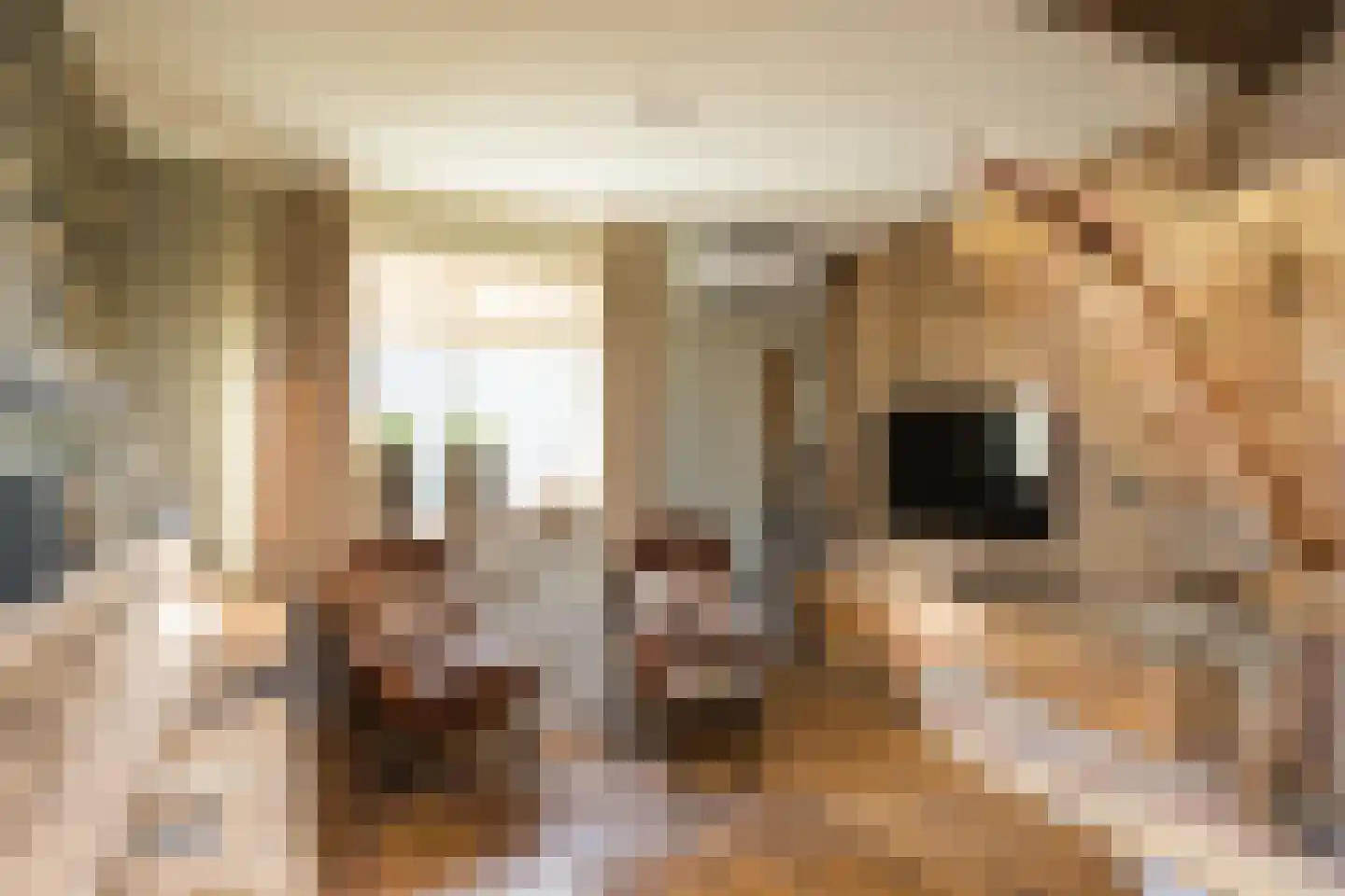 Nordhornsestraat 139 Denekamp thumbnail 12