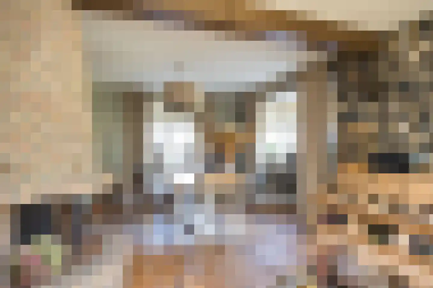 Nordhornsestraat 139 Denekamp thumbnail 14