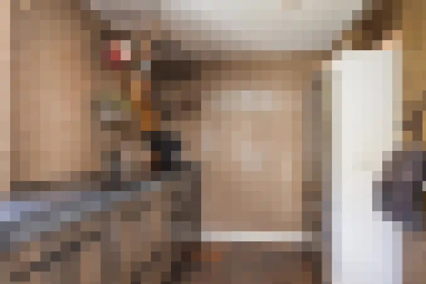Nordhornsestraat 139 Denekamp thumbnail 17