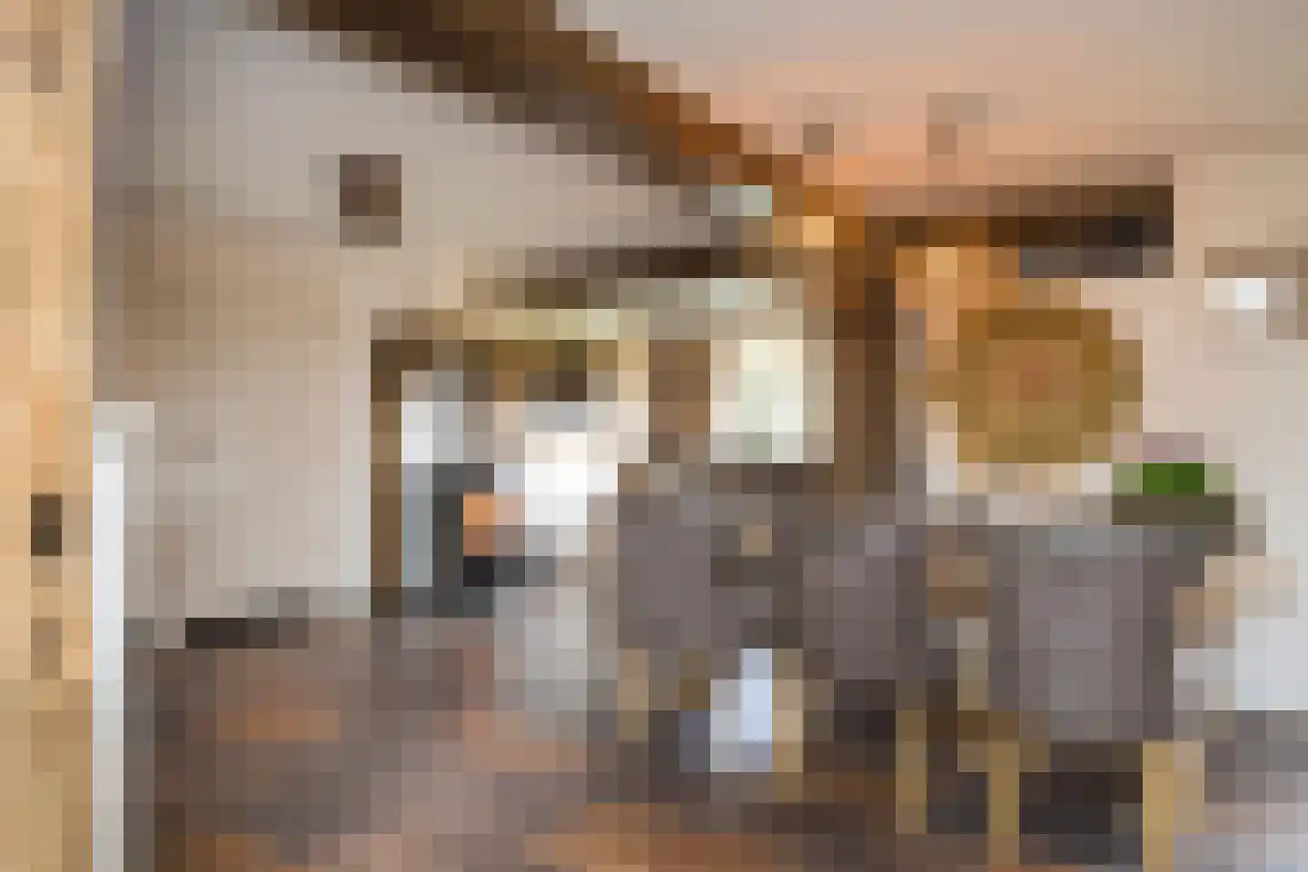Nordhornsestraat 139 Denekamp thumbnail 20