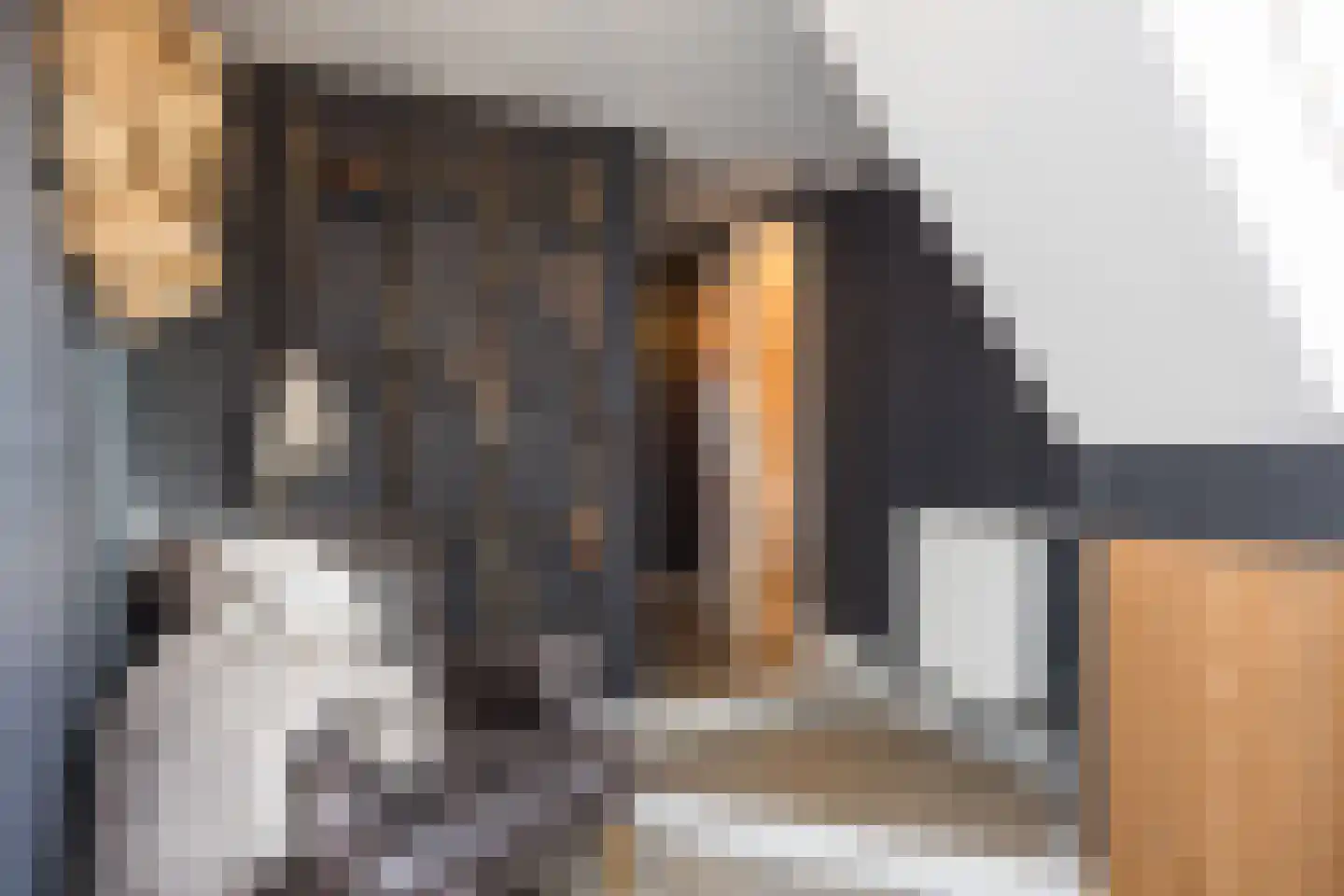 Nordhornsestraat 139 Denekamp thumbnail 38