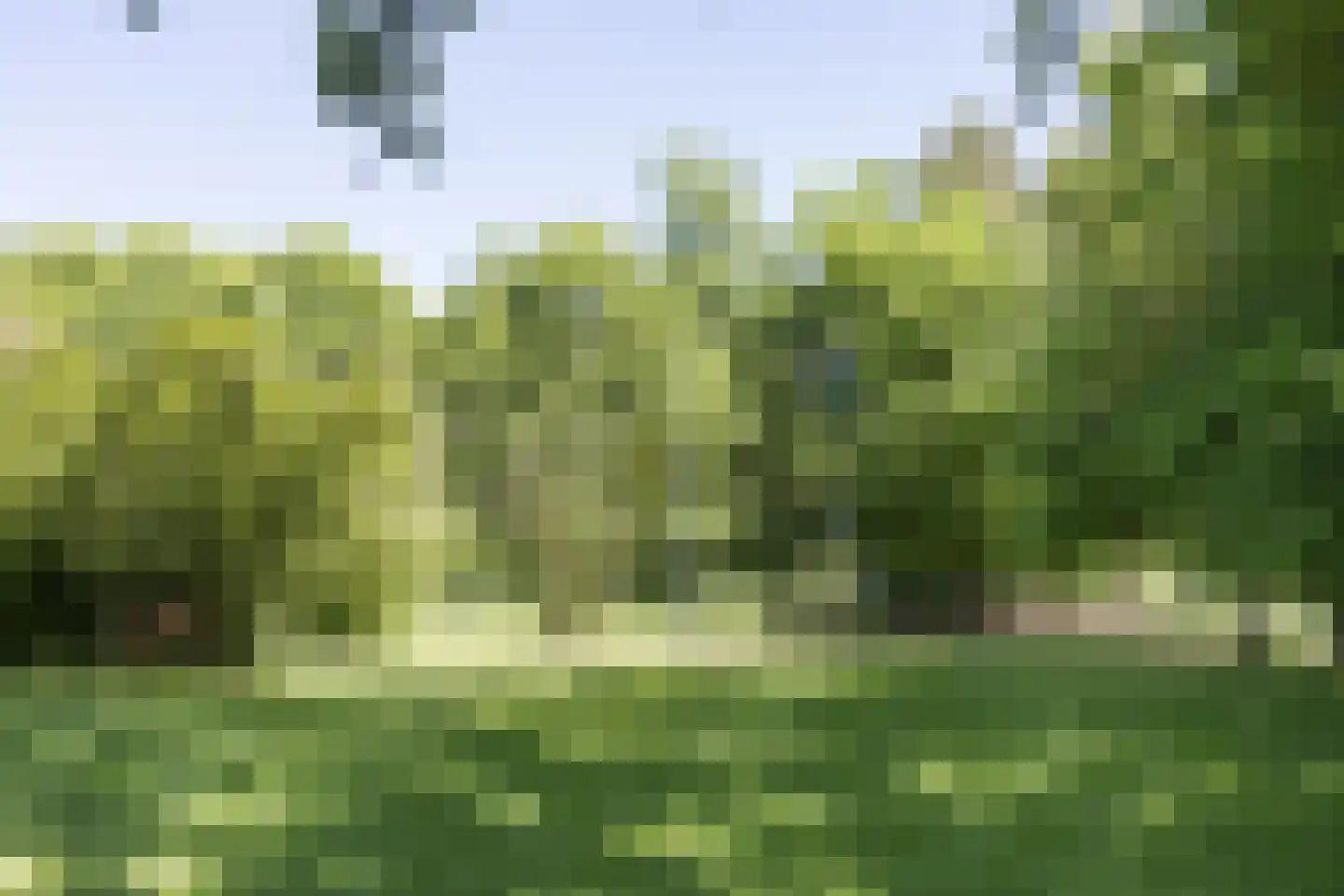 Nordhornsestraat 139 Denekamp thumbnail 4