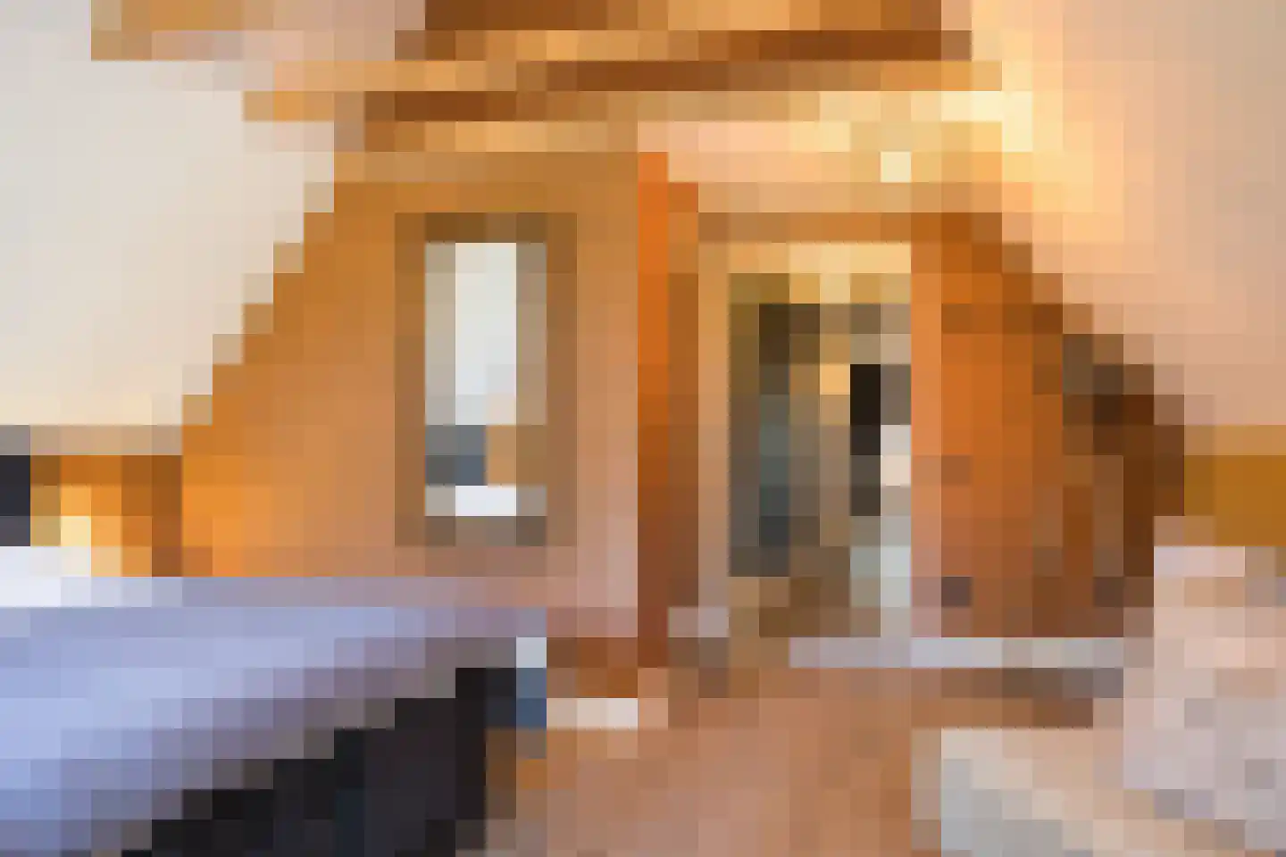 Nordhornsestraat 139 Denekamp thumbnail 43