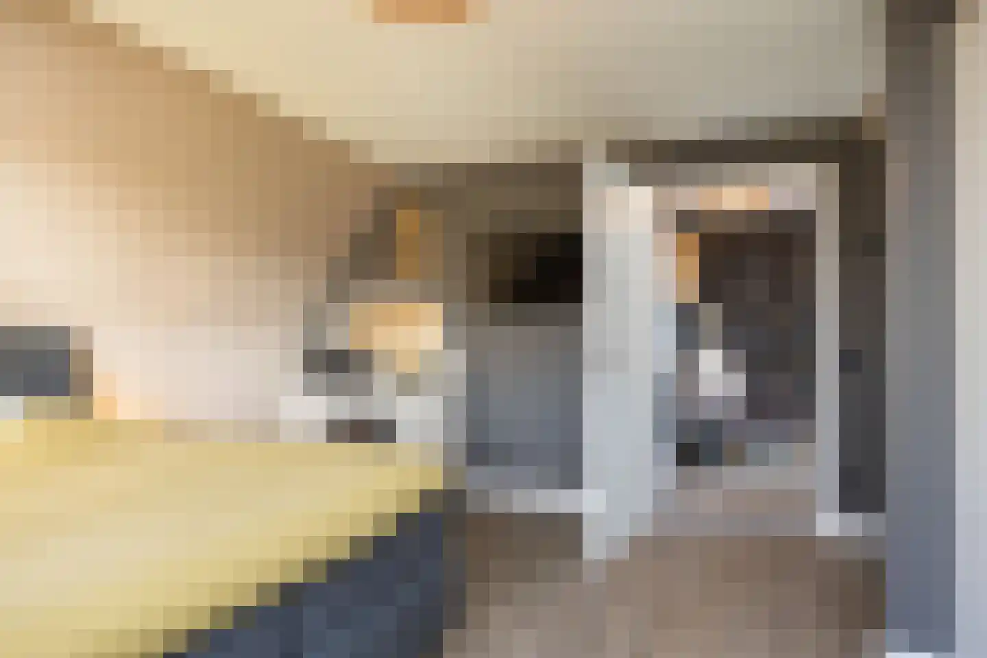 Nordhornsestraat 139 Denekamp thumbnail 45