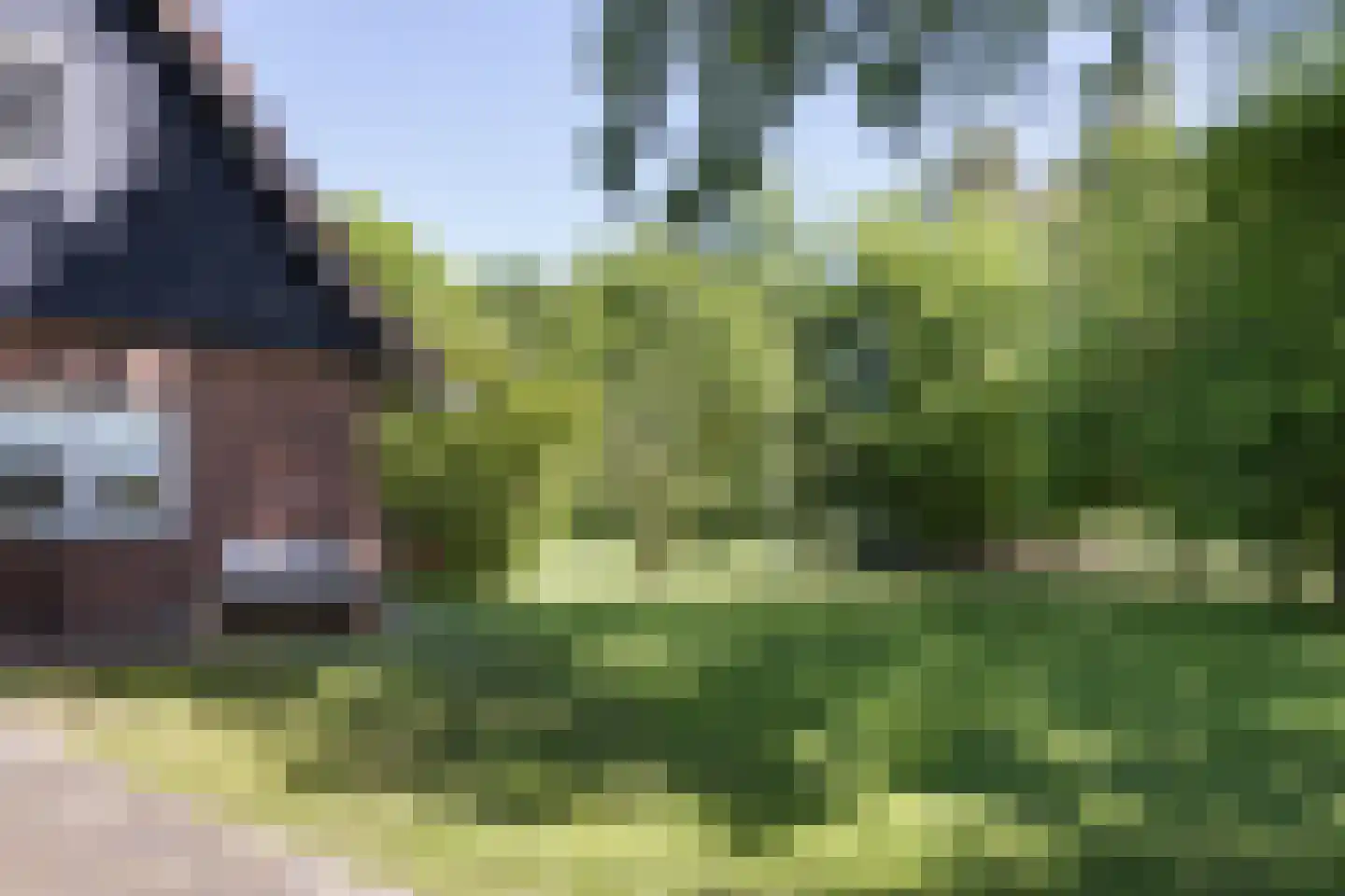 Nordhornsestraat 139 Denekamp thumbnail 52