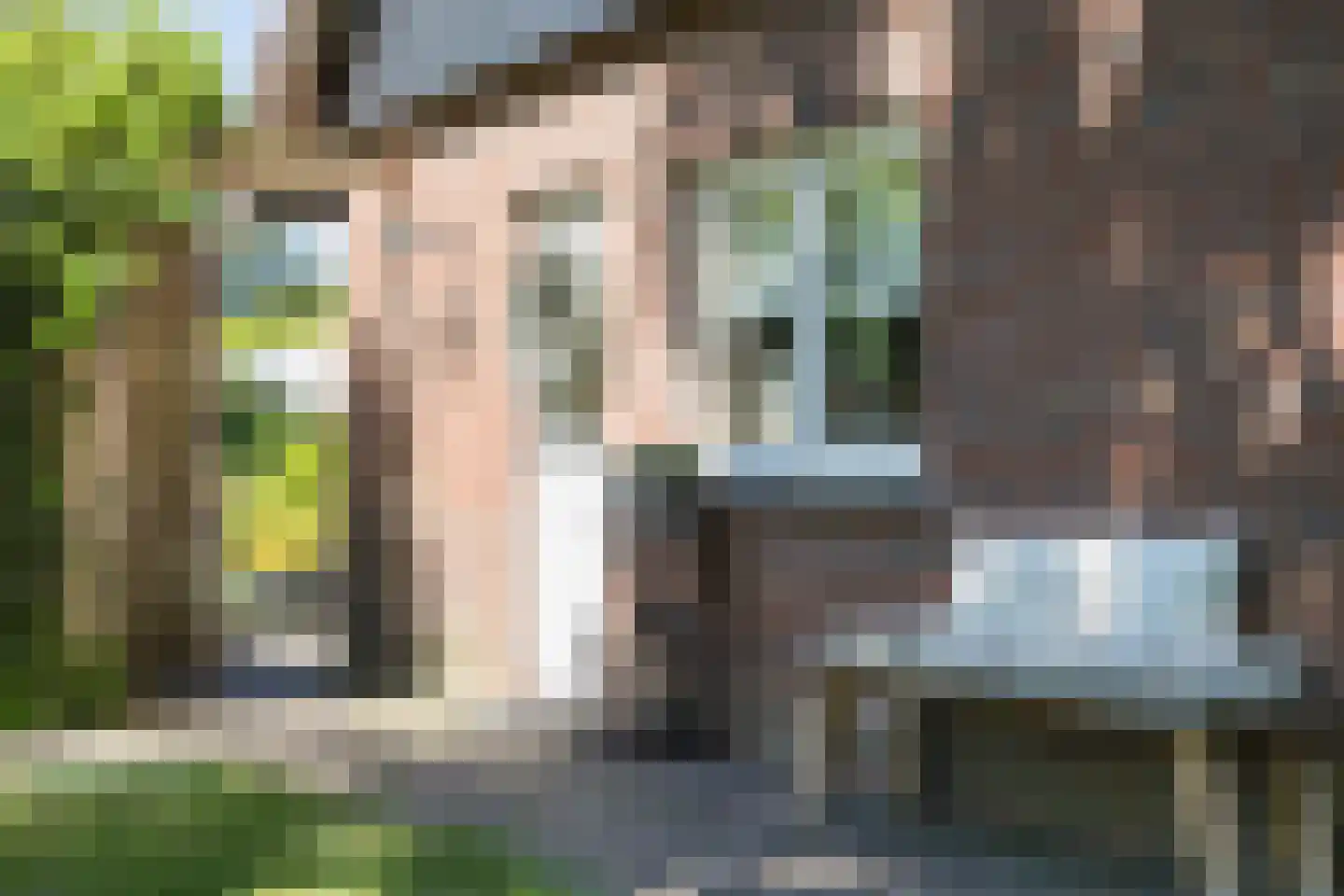 Nordhornsestraat 139 Denekamp thumbnail 55