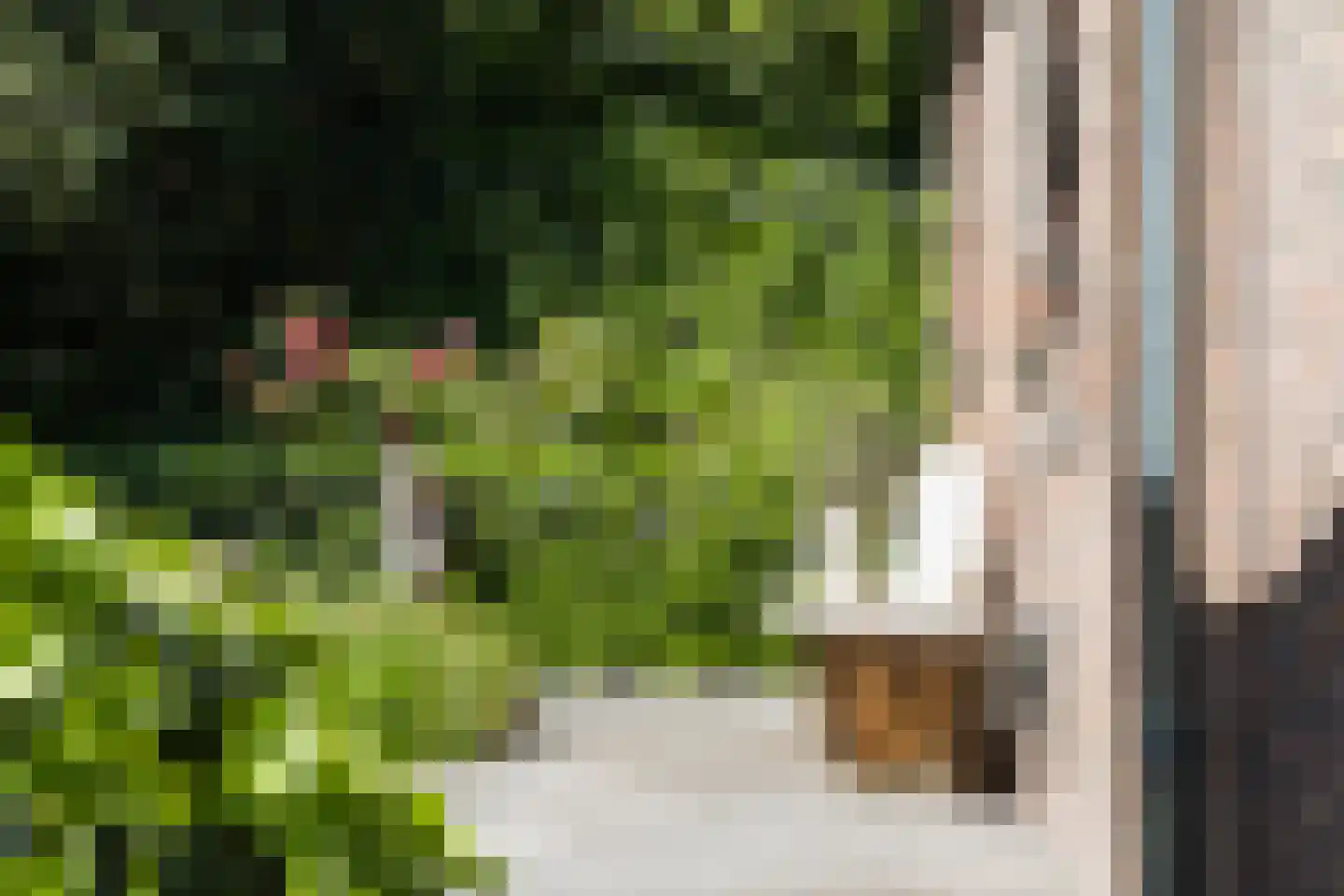 Nordhornsestraat 139 Denekamp thumbnail 56