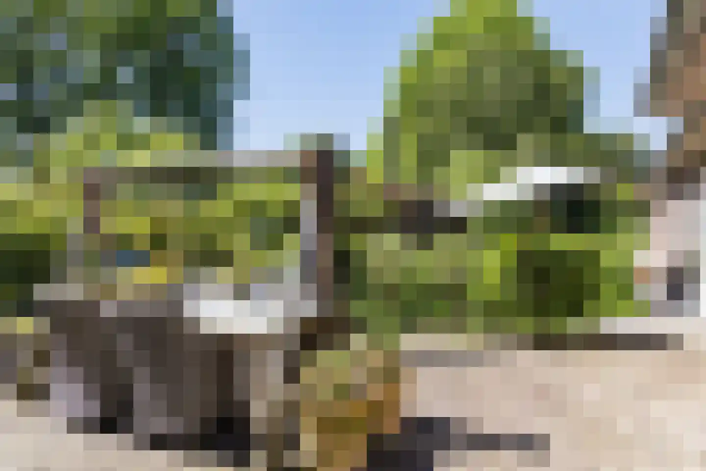 Nordhornsestraat 139 Denekamp thumbnail 69