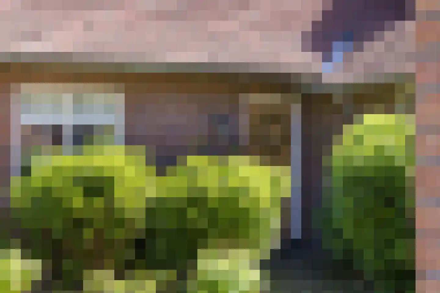 Nordhornsestraat 139 Denekamp thumbnail 7