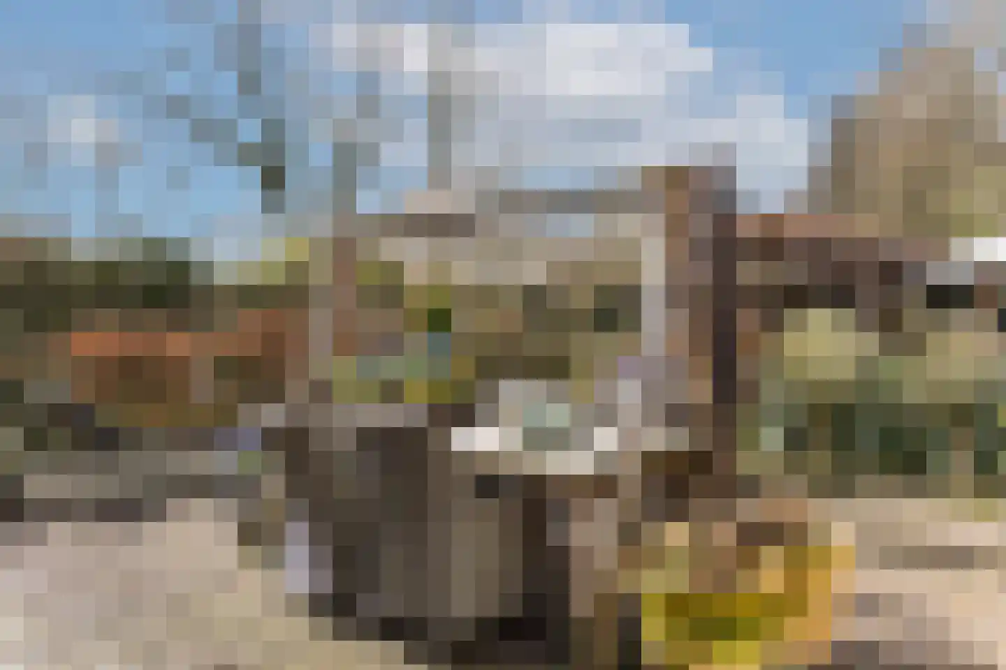Nordhornsestraat 139 Denekamp thumbnail 70