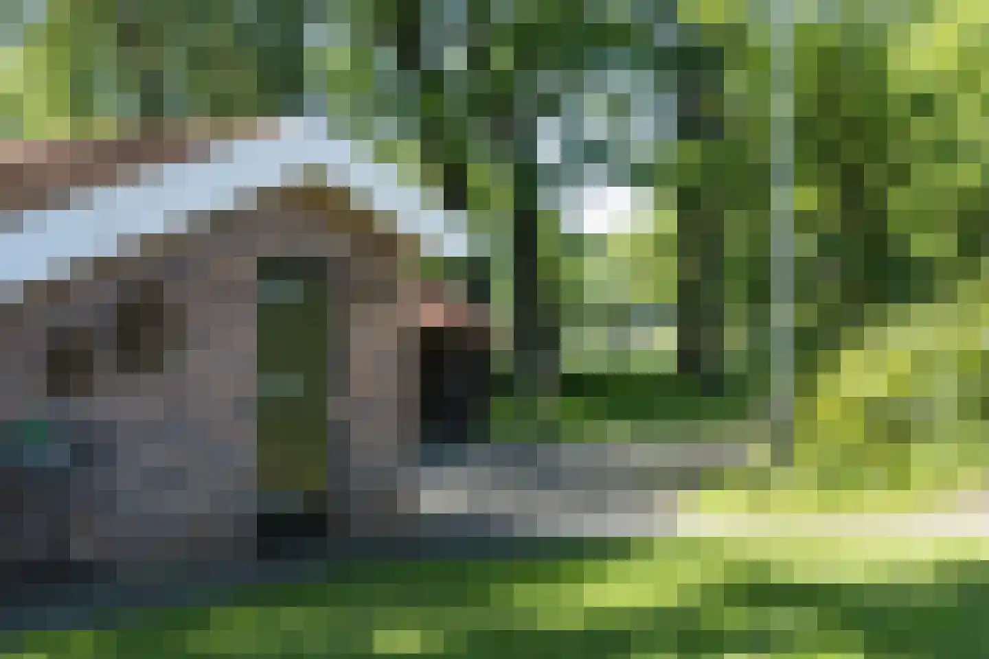 Nordhornsestraat 139 Denekamp thumbnail 73