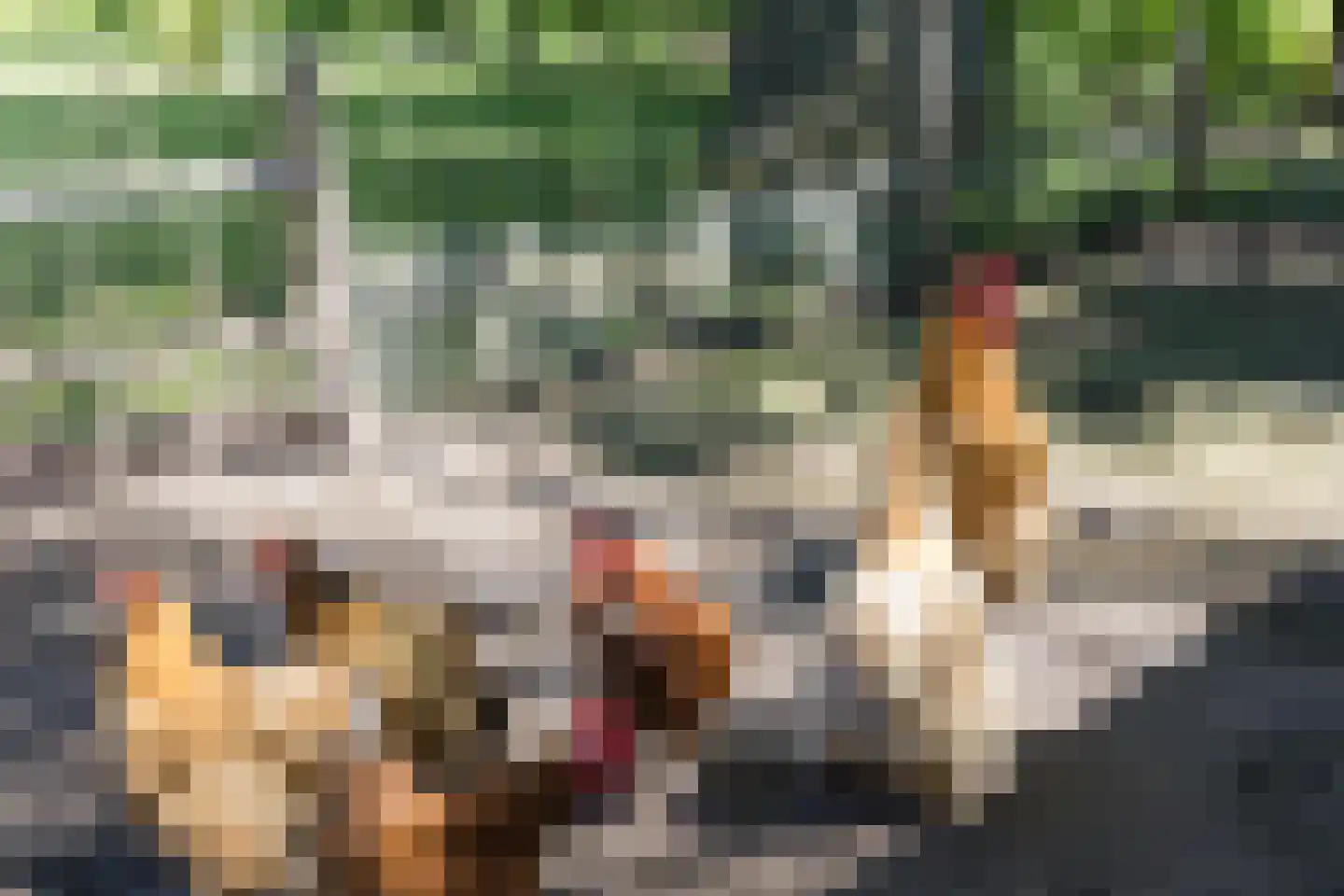 Nordhornsestraat 139 Denekamp thumbnail 74